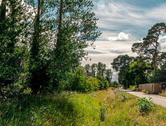 Footpath near Pines Primary School